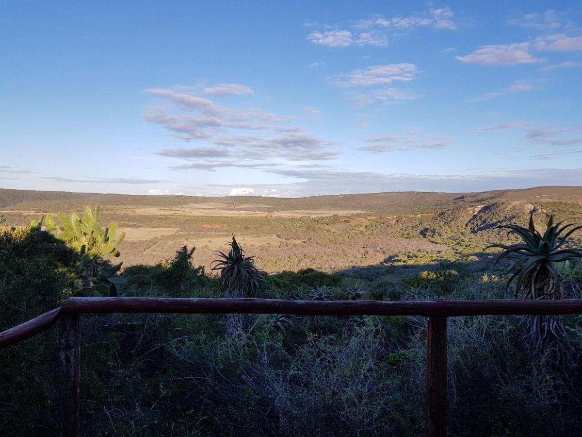 Vila Camp Acacia Paterson Exteriér fotografie